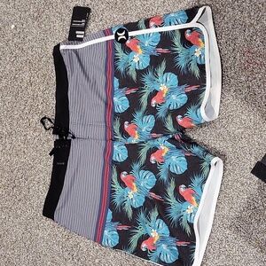 New Hurley Border Shorts